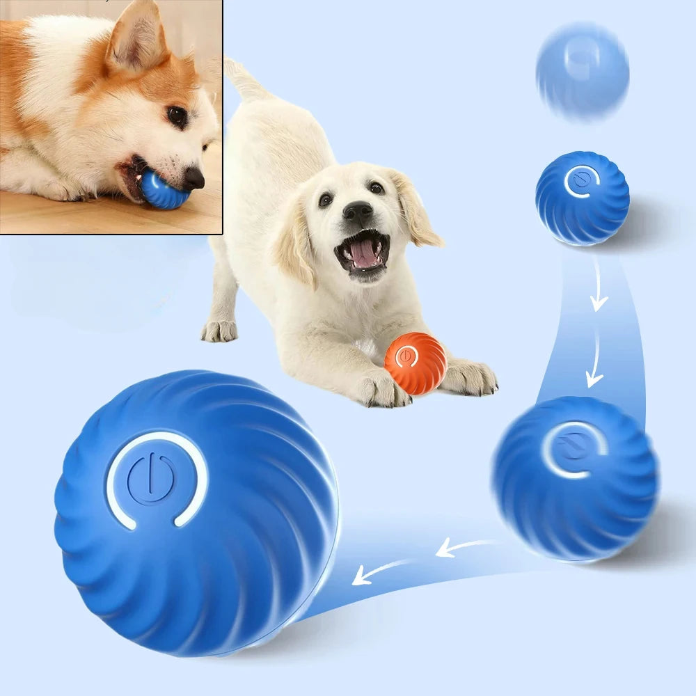Premium Smart Motion Ball for Dogs – Interactive USB Rechargeable Rolling & Bouncing Toy