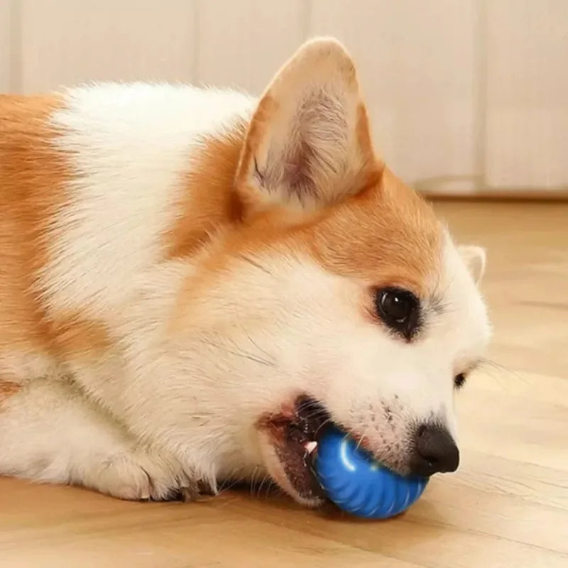 Premium Smart Motion Ball for Dogs – Interactive USB Rechargeable Rolling & Bouncing Toy
