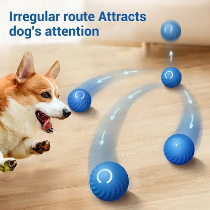 Premium Smart Motion Ball for Dogs – Interactive USB Rechargeable Rolling & Bouncing Toy