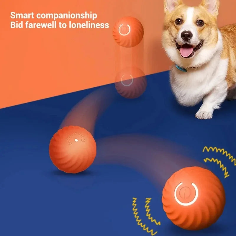 Premium Smart Motion Ball for Dogs – Interactive USB Rechargeable Rolling & Bouncing Toy