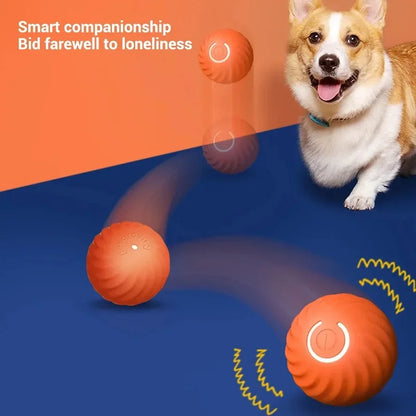 Premium Smart Motion Ball for Dogs – Interactive USB Rechargeable Rolling & Bouncing Toy