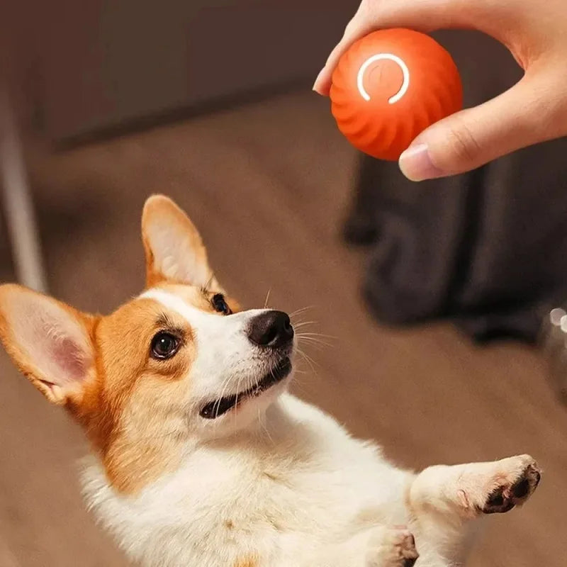 Premium Smart Motion Ball for Dogs – Interactive USB Rechargeable Rolling & Bouncing Toy